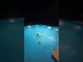 Funny Moments Pool Poolparty Poolgame Pooldance Resort Water Trendingsong