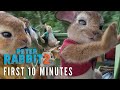 PETER RABBIT 2 – First 10 Minutes