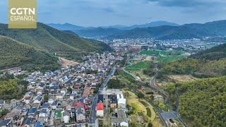 Personalidades y académicos latinoamericanos elogian positivamente la revitalización rural de China