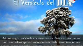 Miniatura del video: El versiculo del dia .com - Efesios 5 v15-17