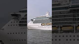 🏆Serenade of the Seas🤩 Ultimate world Cruiseship #serenadeoftheseas #amsterdam #cruiseship