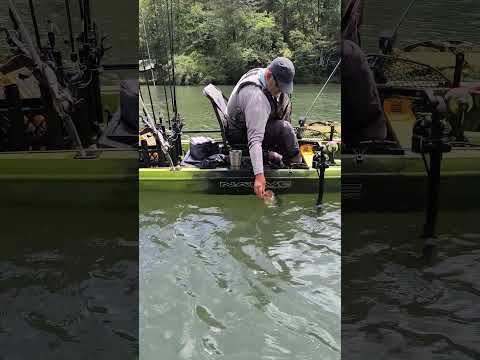 Native Titan X release