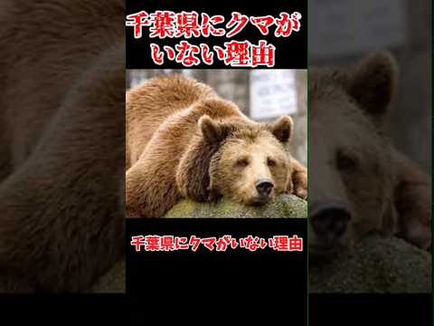 IUCN分類における絶滅の危険性を示す図。