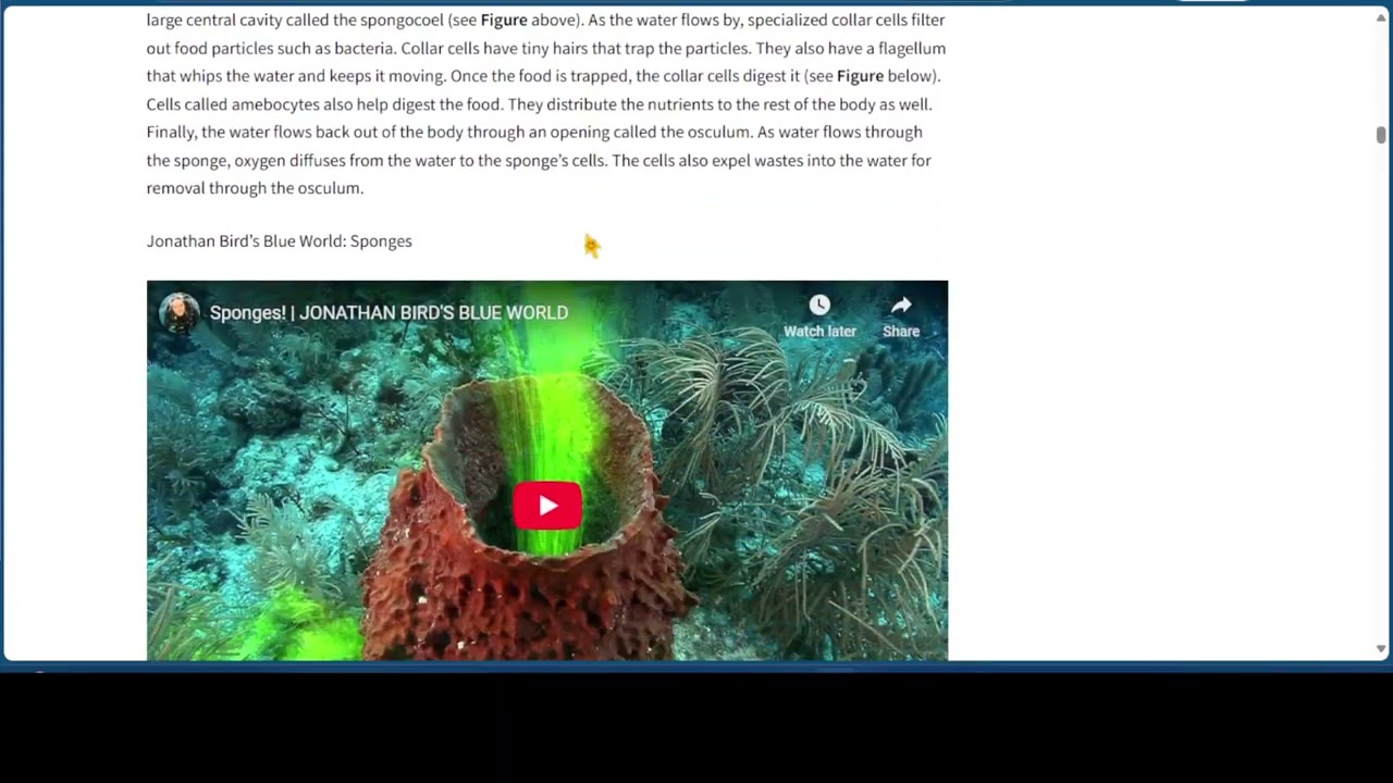 Guest Hollow - FREE High School Biology - Grades 9 - 12