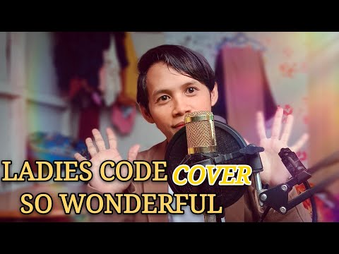 LADIES CODE-SO WONDERFUL(COVER)by mingi