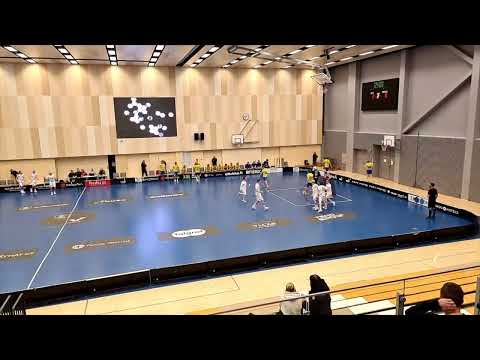 P22: OLS - EräViikingit 7.1.2023 maalikooste