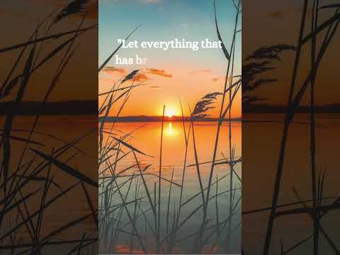 Day 167 - "The Untold Power of Daily Bible Verses"