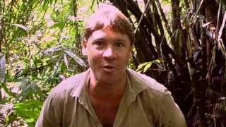 Crocodile Hunter - Faces In The Forest (Part 4)