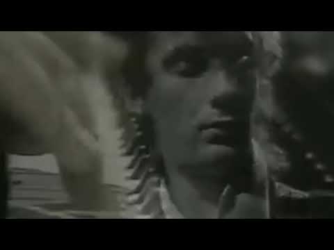 Galebovi video