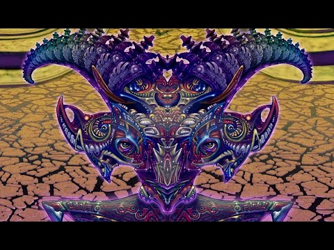 DMT Entities - broken down and described