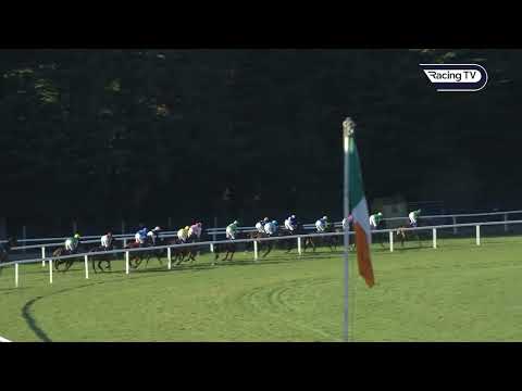 Easy! NIGHT AND DAY looks another smart mare for Willie Mullins  - Racing TV
