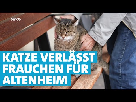 Die gute Seele des Altenheims: Katze Fritzi verlässt ihr Frauchen um mit den Senioren zu leben