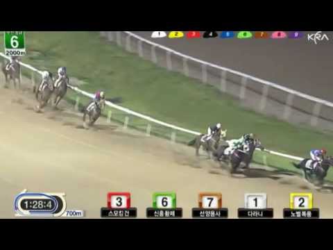 Smoking Gun - Busan Race Park, August 19, 2012