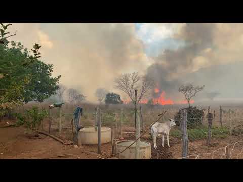 começaram os Incêndios Crimes Ambientais em Januaria MG norte de Minas , todo ano er assim 