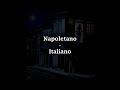 Roberto Murolo - Voce 'e notte (Lyrics Napoletano/Italiano)