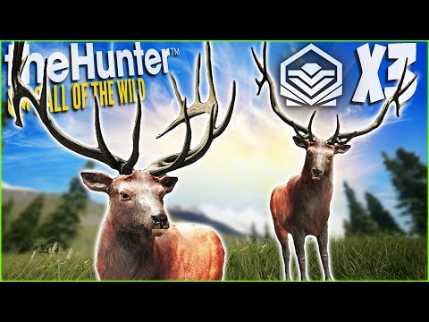 I ACCIDENTALLY Got 3 Diamond Rocky Mountain Elk... Call of the wild