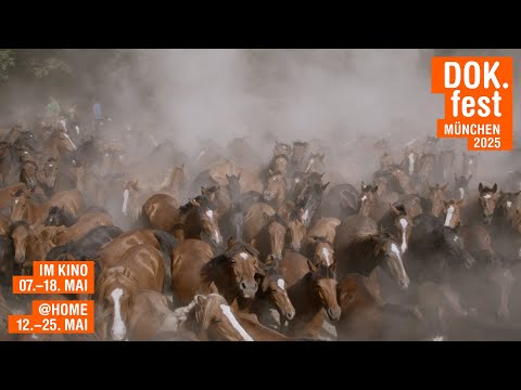 Thumbnail for video: Trailer [Subtitled]