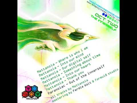 02 Mettanoia - Into Our Mind