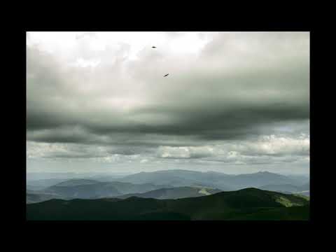 Electro Pop Nr 7   Jack Elphick (Epidemic Sound)