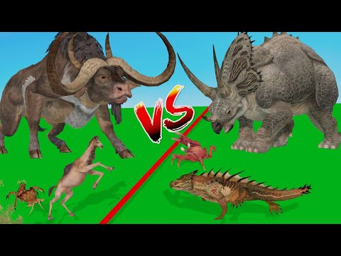 Prehistoric Mammals Vs Triceratops Vs Buffalo Vs Komodo Dragon Vs Modern Animals