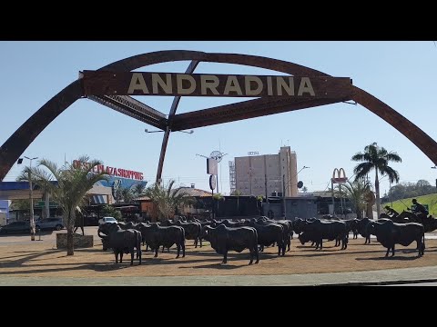 Andradina SP conheça um pouco do monumento do rei do gado na entrada da cidade