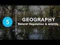 Natural Vegetation And Wildlife Chapter 5 Geography NCERT Class 9