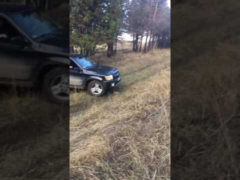 Infiniti QX 4 v garax