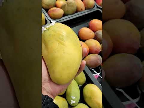 Saudi Mango Festival in Hyper Lulu Unaizah 🇸🇦🥭😍