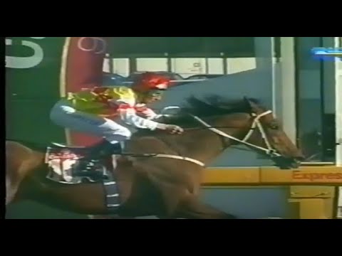 2004/2005 Season (1/7) Missile Stakes - Underwood Stakes