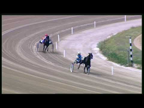 Trotto 11/09/2020 - prova di qualifica