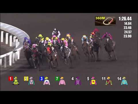 12/5/2021 (663) Fairy Floss - Z Purton