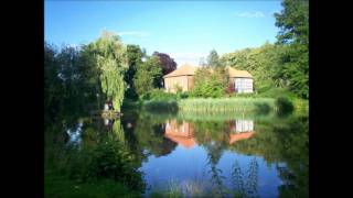 Paul Weller - Loveless (Acoustic)