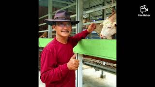 Download lagu Karaoke versi Keroncong. JO PODO NELONGSO Album KoesPlus. Vocal Suhairi Saiman mp3