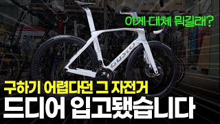 구하기 어렵다던 핫한 가성비자전거 거스토 듀로 스포츠 팀에디션 입고 되었습니다
