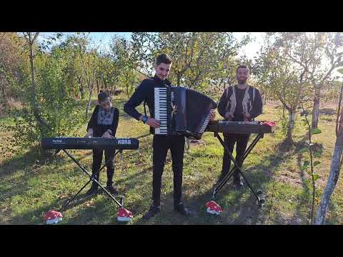 Vasile Pandelescu - Supărat am fost de mic Acordeon #nou2022 COVER #youtube #shorts |Tony Floricel |