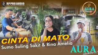 Download lagu CINTA DI MATO - AURA JHANDUT - RINA A Ft Mr. OMUS [Cover Live] Rp PRO AUDIO mp3