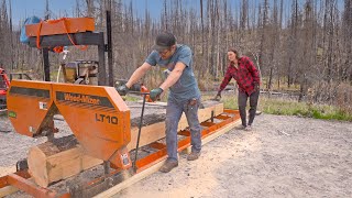 Can We Use These Wildfire Burnt Trees, Or Was Our 300 Acre Purchase A Mistake?
