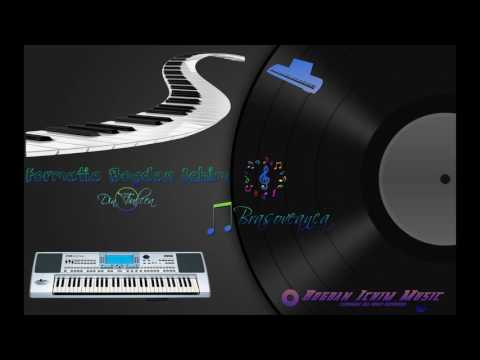 BOGDAN ICHIM - BRASOVEANCA