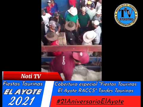 FIESTAS TAURINAS EL AYOTE