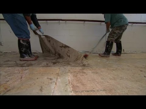 Flood Ruins The Pavlovich Ballet School Ballet20 Com