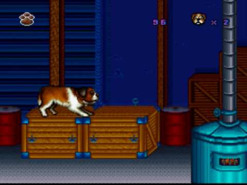 Let's Play Beethoven's 2nd - 02 - Birds, Squirrels & BBQ's... Oh My!