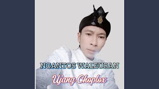 Download lagu Ngantos Waleuran mp3