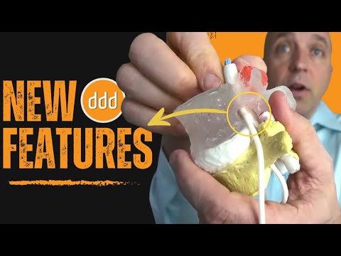 LxH Dynamic Disc Model: Your Ultimate Teaching Tool: Product Use Video