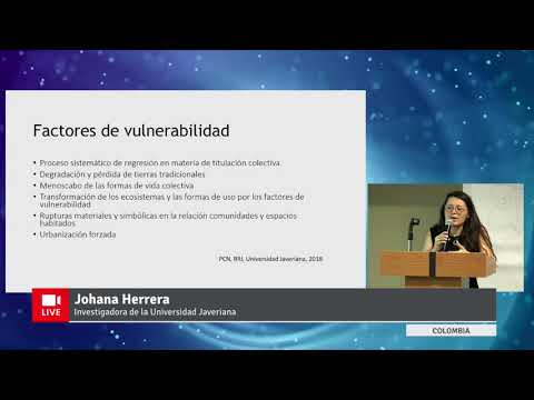 Video presentación: La experiencia colombiana del observatorio de territorios étnicos y campesinos