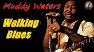 Muddy Waters - Walking Blues (Kostas A~171)