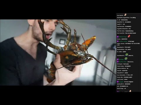 Ice Poseidon Destroys Kitchen while Cooking Lobsters...