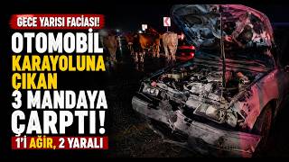  Otomobil Karayoluna Çıkan 3 Mandaya Çarptı 1’i Ağır, 2 Yaralı
