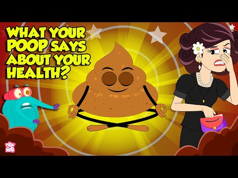Is Your Gut Healthy? 💩What do Unhealthy Stools Look Like? | Healthy Body Signs | Dr Binocs Show