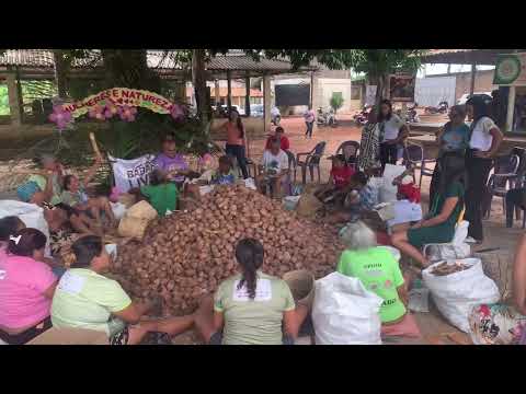 Movimento das crebradeira de coco babaçu de São Domingos Do Araguaia para