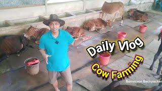 Cow farming is a challenge to existence Servival | Bornikson Backpacker | Bangladeshi Garo Vlogger
